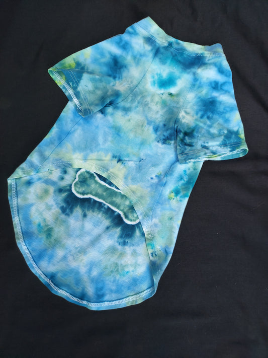 Dog shirt Sm-Med Blue/green w/bone